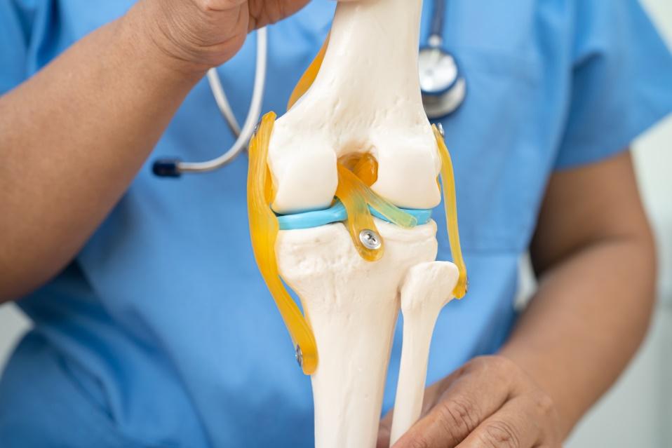 Diagnostic entorse genou