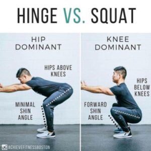 hinge vs squat