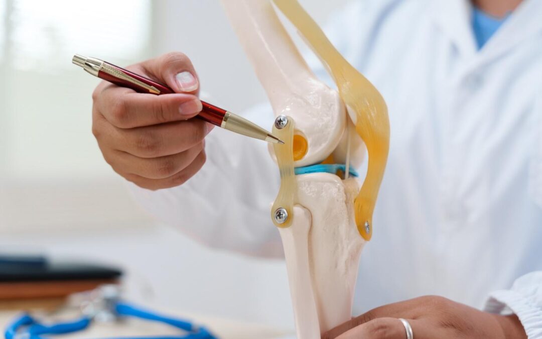 Ligament collatéral latéral : comprendre, prévenir et soulager